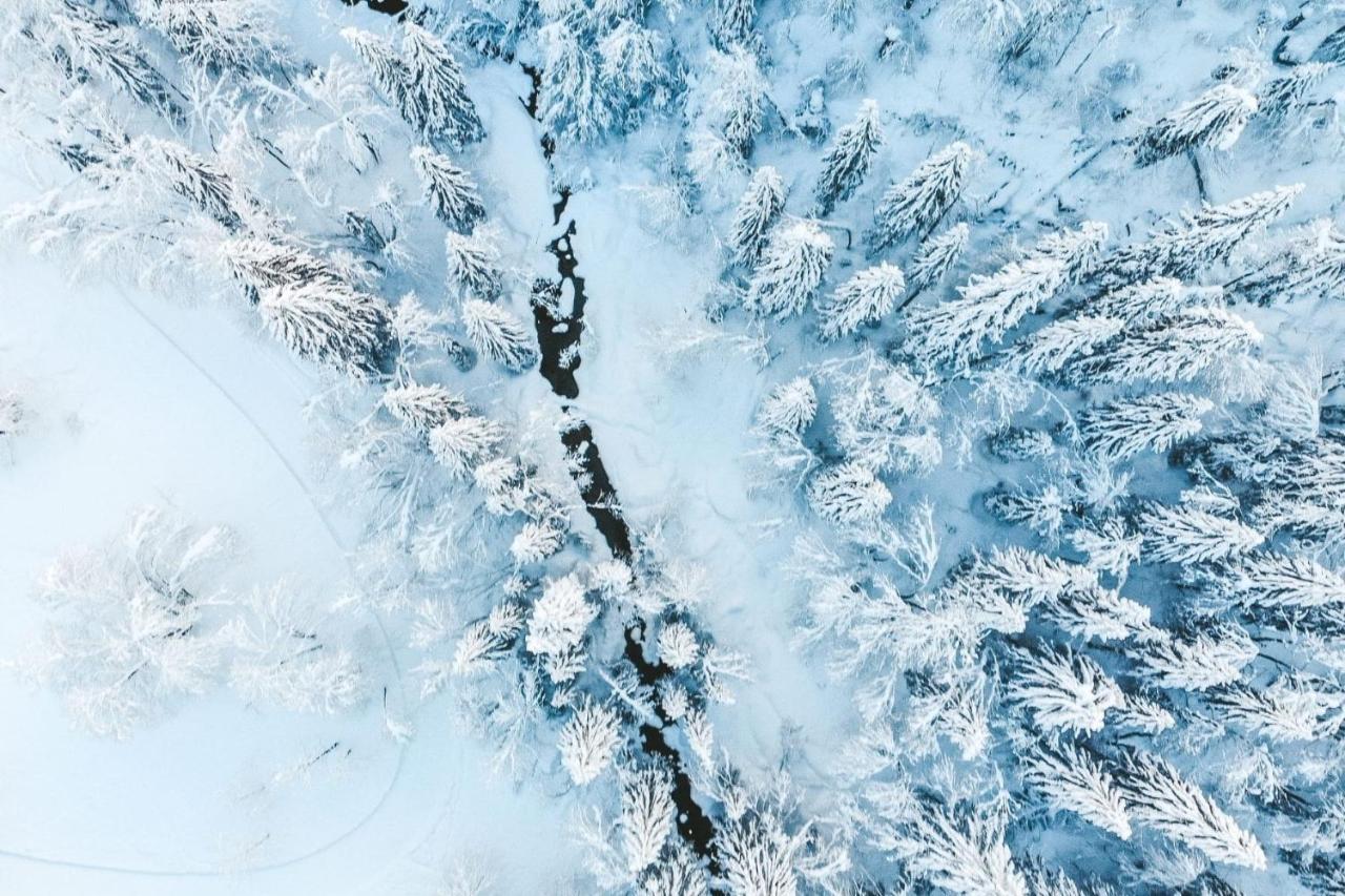 Résidence Les Portes du Soleil - Propriétés Mont Amour Avoriaz Esterno foto