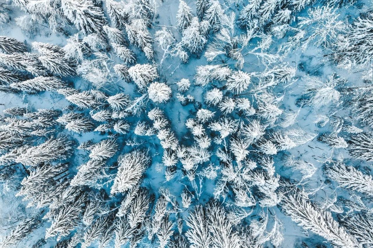 Résidence Les Portes du Soleil - Propriétés Mont Amour Avoriaz Esterno foto